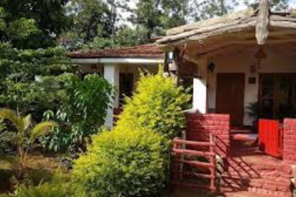 How to reach Masinagudi Tamil Nadu 643223 reach masinagudi tamil nadu 643223