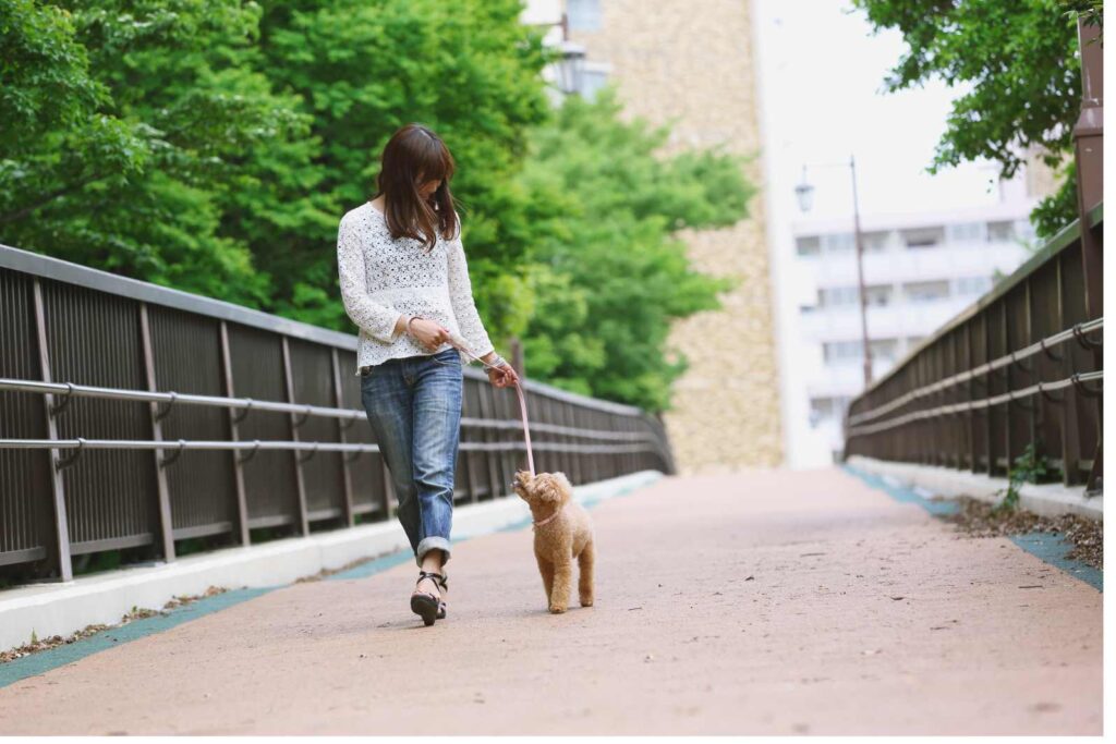 Sustainable Pet Care: Eco-Friendly Tips for Animal Lovers